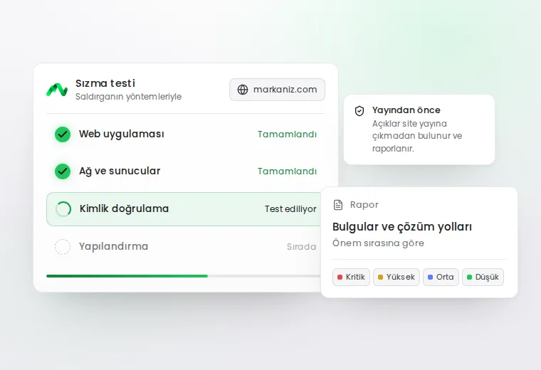 Örnek bir sızma testi ekranı: test edilen alanlar ve rapor
