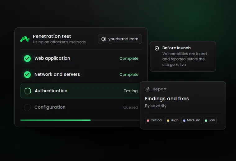 Sample penetration test screen: the areas being tested and the report